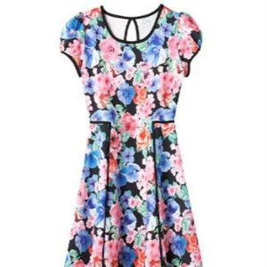 ⭐Disney D-Signed Floral Pique Fit & Flare Dress Lg